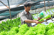 Tình hình gieo trồng, chăn nuôi, hoạt động thể thao tháng 4/2016