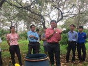 Tập huấn kỹ thuật phòng chống các loại sâu, bệnh trên cây điều