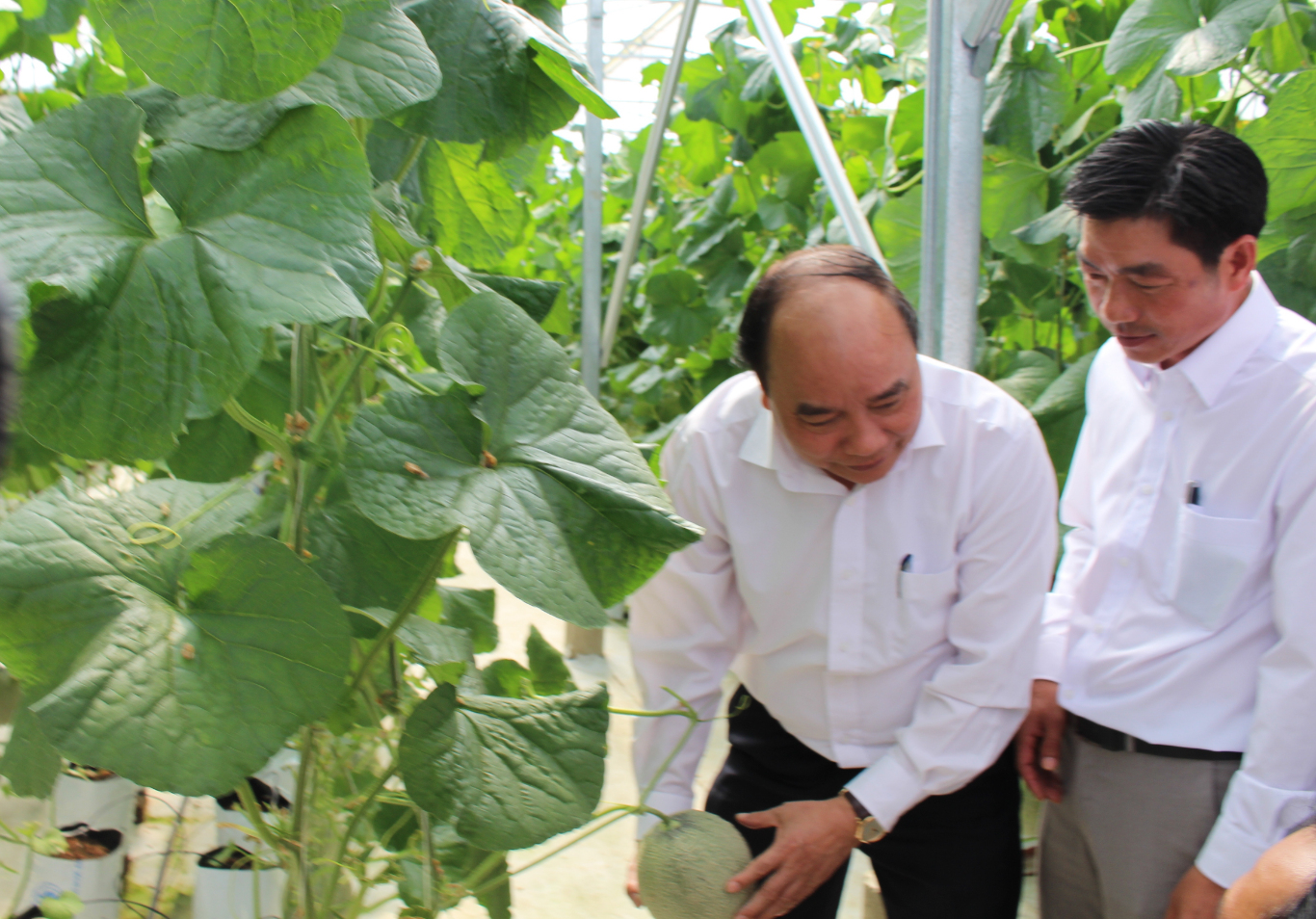 Thu tuong Nguyen Xuan Phuc 5