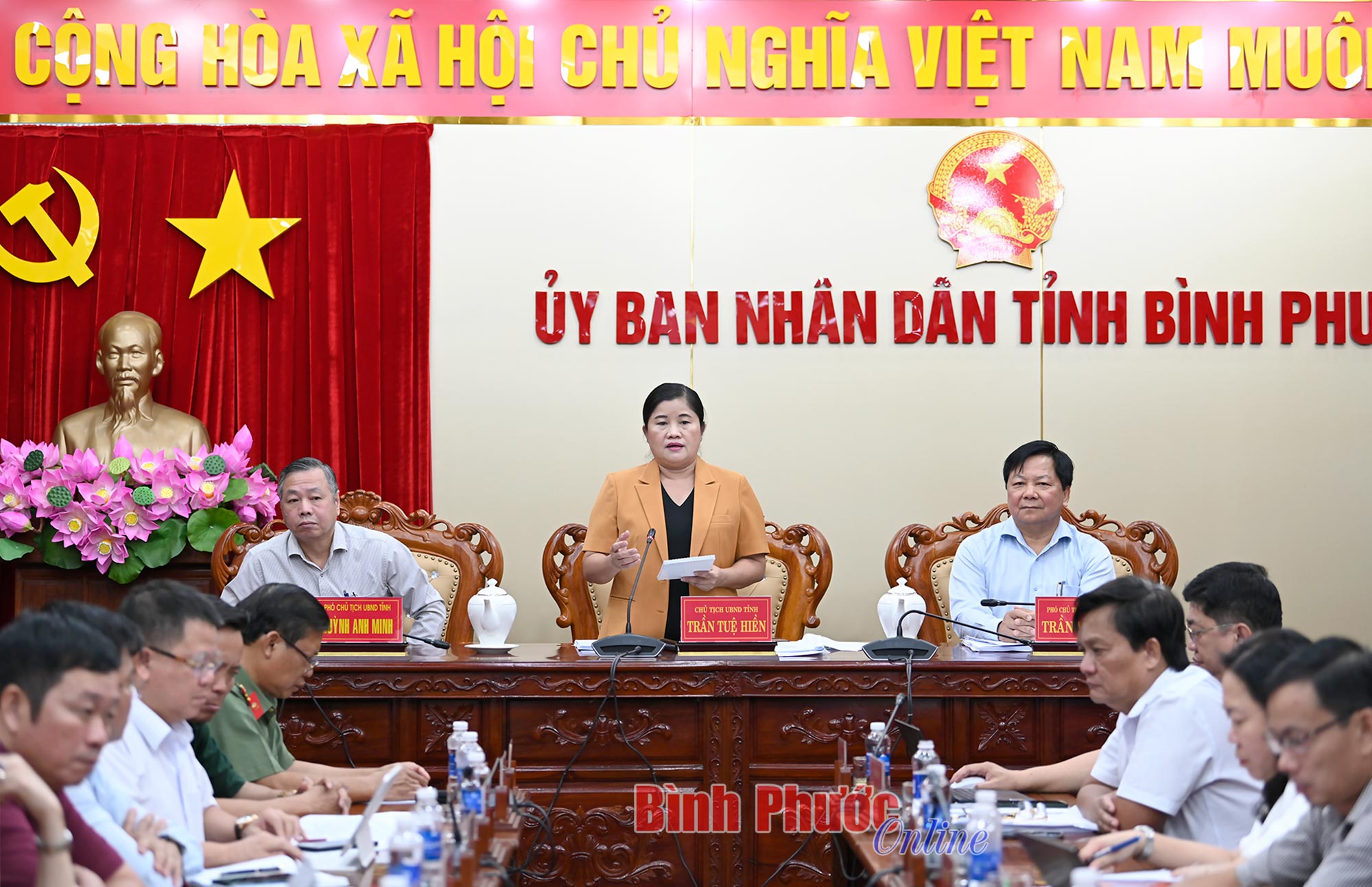 chien 16573306052024